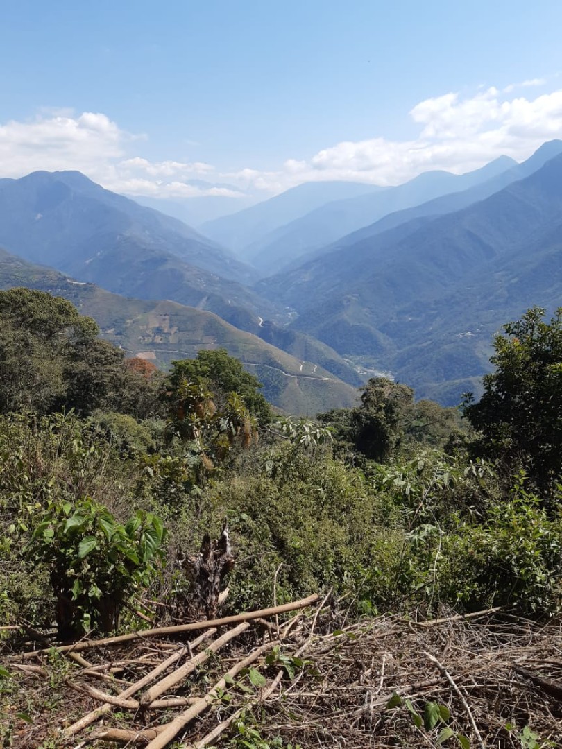 Terreno Coroico Foto 4