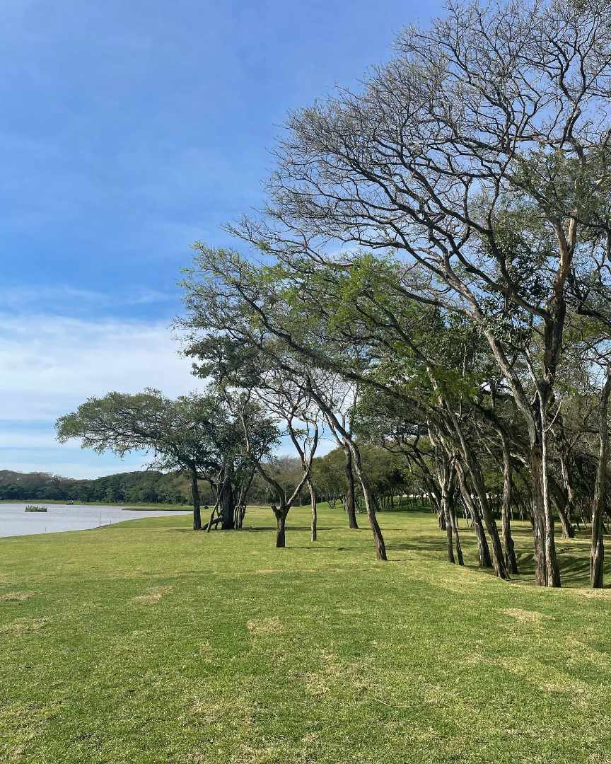 Terreno en Urubó en Santa Cruz de la Sierra    Foto 3
