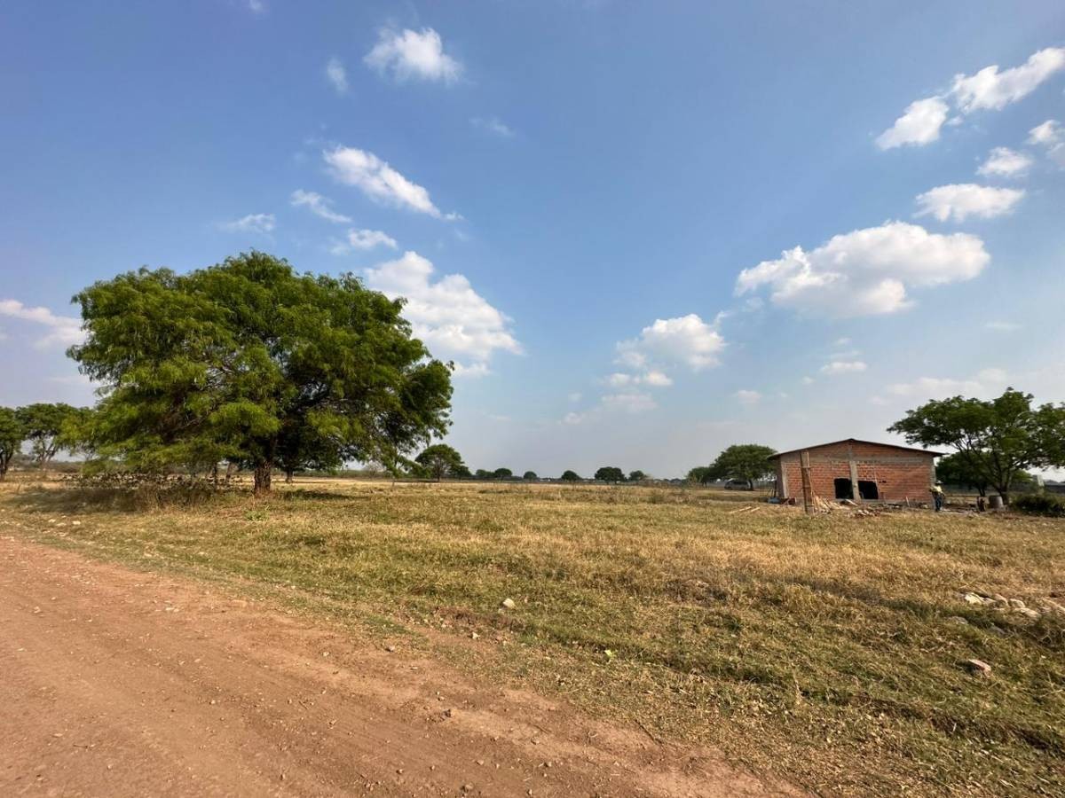 Terreno en Entre 9no y 10mo anillo Este en Santa Cruz de la Sierra    Foto 6