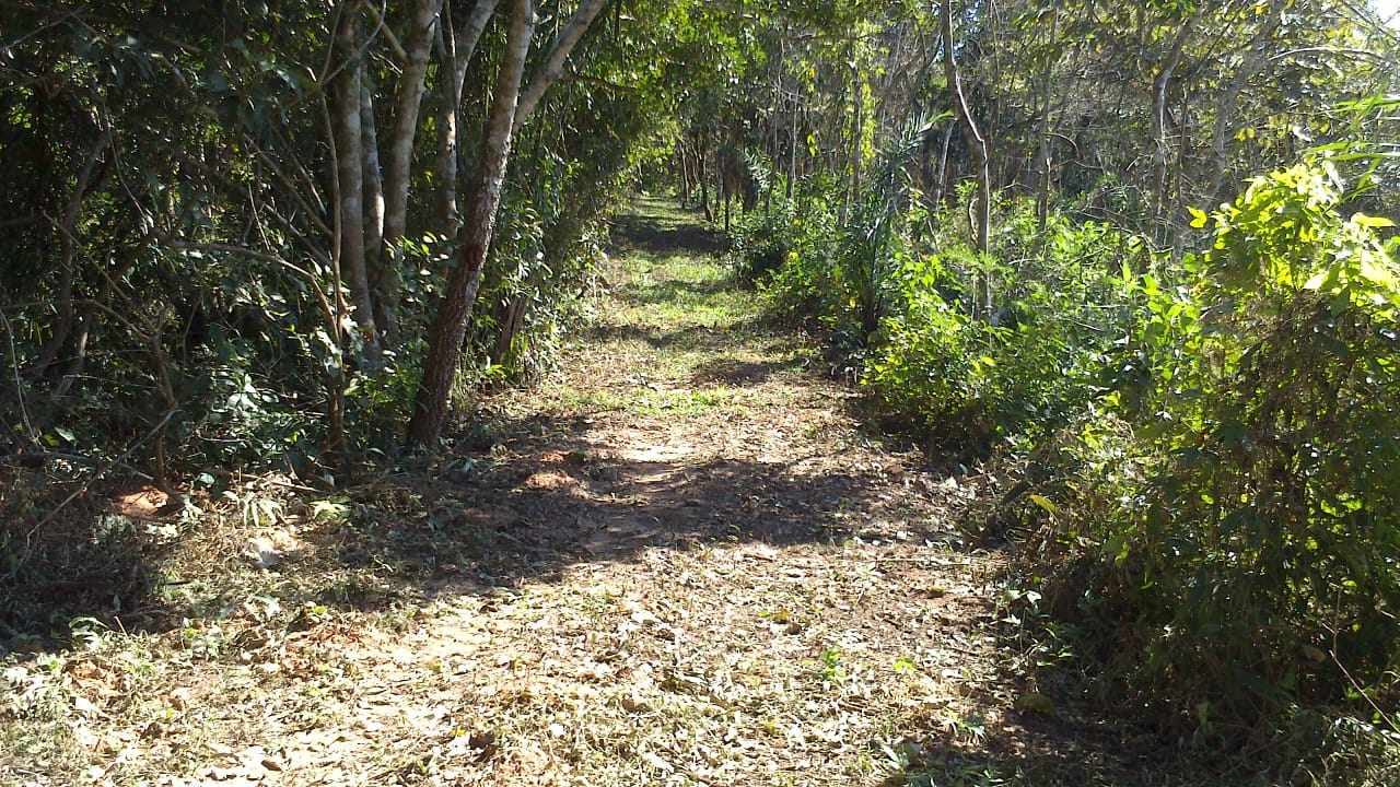 Terreno Buenavista - Resort Quintas Buena Vista Foto 6