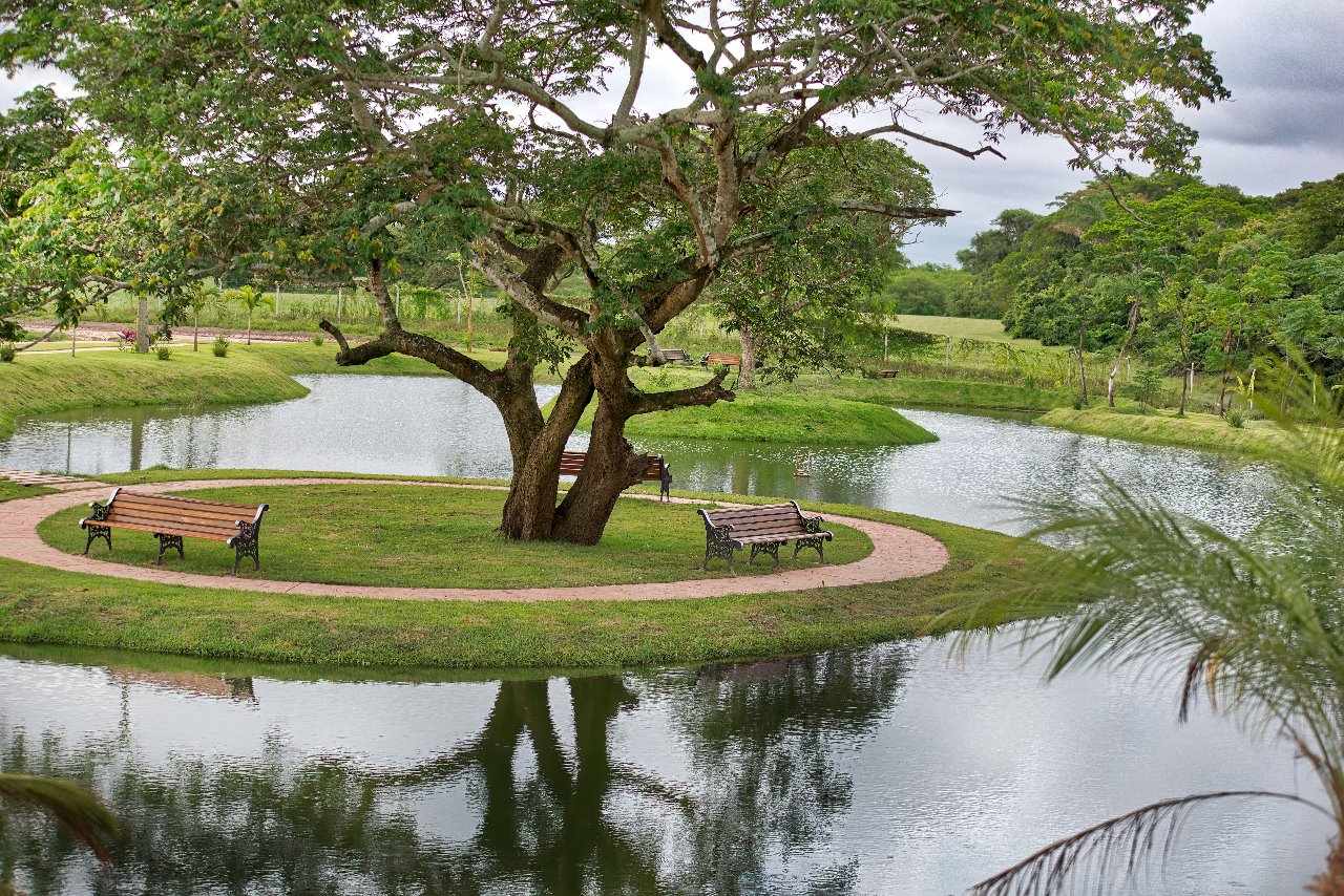 Casa en VentaEl remanso 8vo anillo 3 dormitorios 3 baños 2 parqueos Foto 12