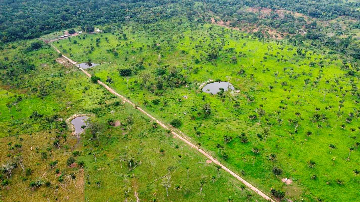 Quinta propiedad agrícola en VentaPROPIEDAD GANADERA EN EL MUNICIPIO DE SAN JAVIER Foto 2