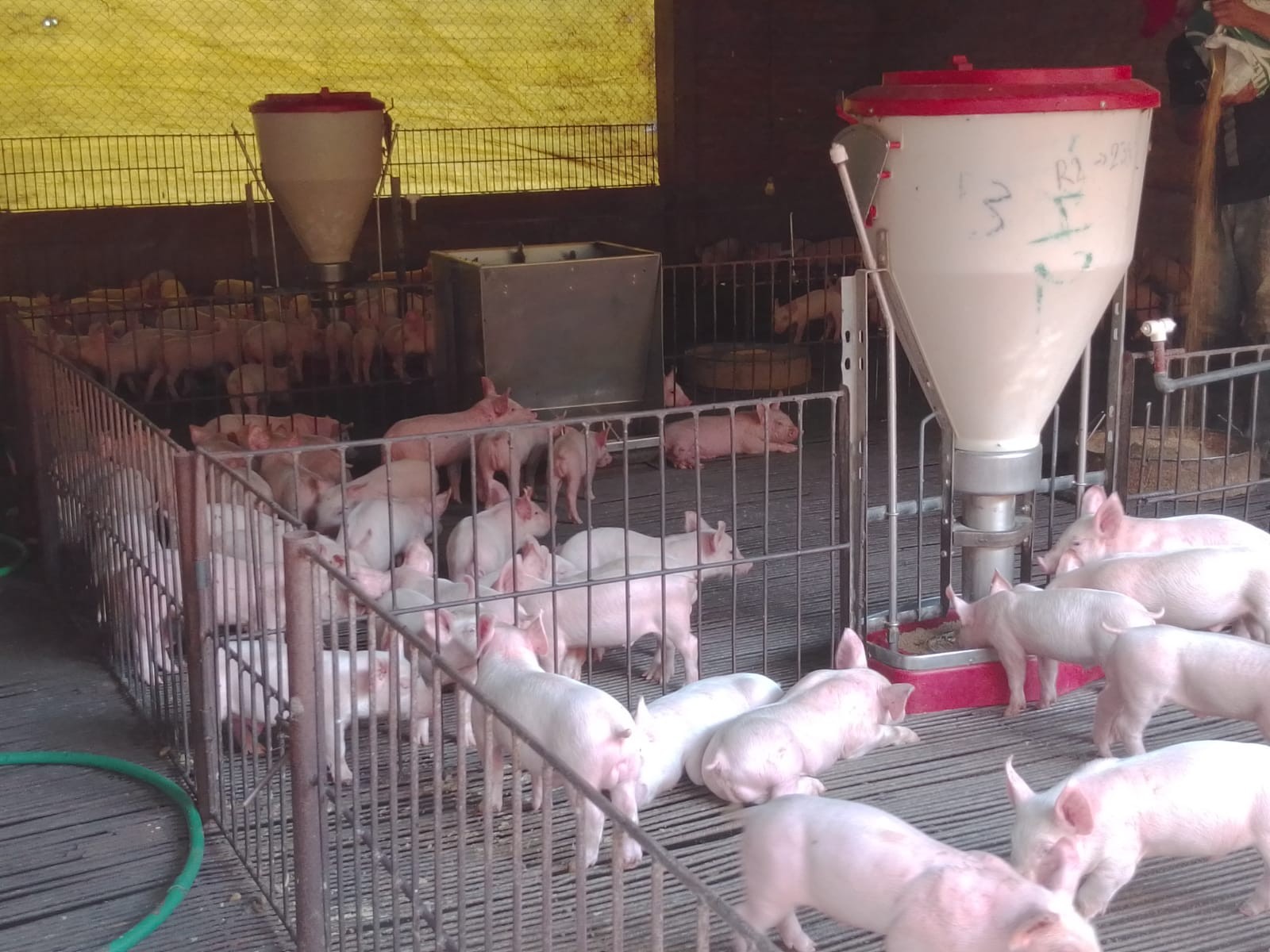 Quinta propiedad agrícola en VentaCOTOCA, ZONA SUE ESTE  Foto 22