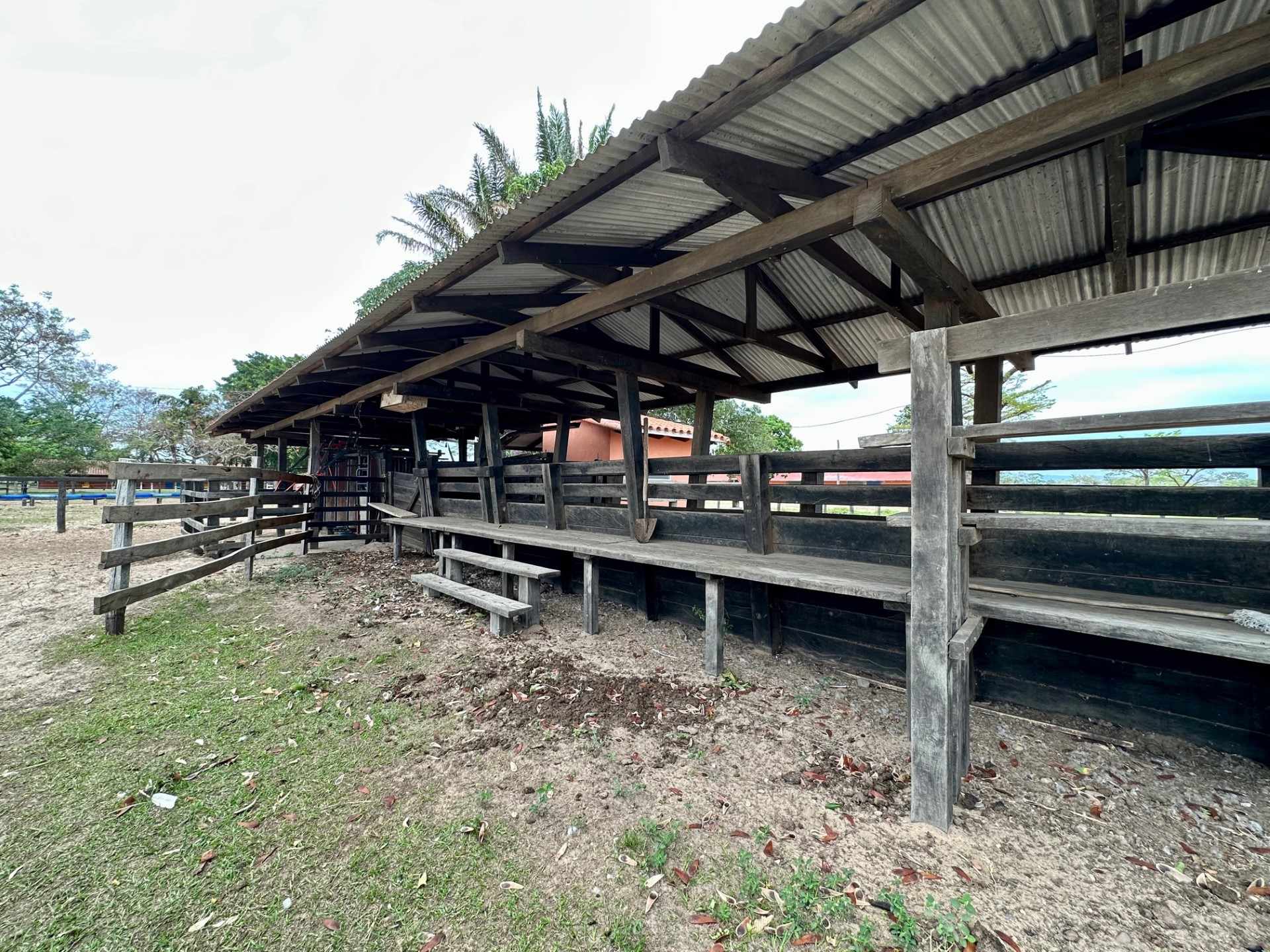 Quinta propiedad agrícola en VentaEn Venta 850 Hectáreas Ganaderas y con Potencial para Urbanizar en Portachuelo    Foto 7