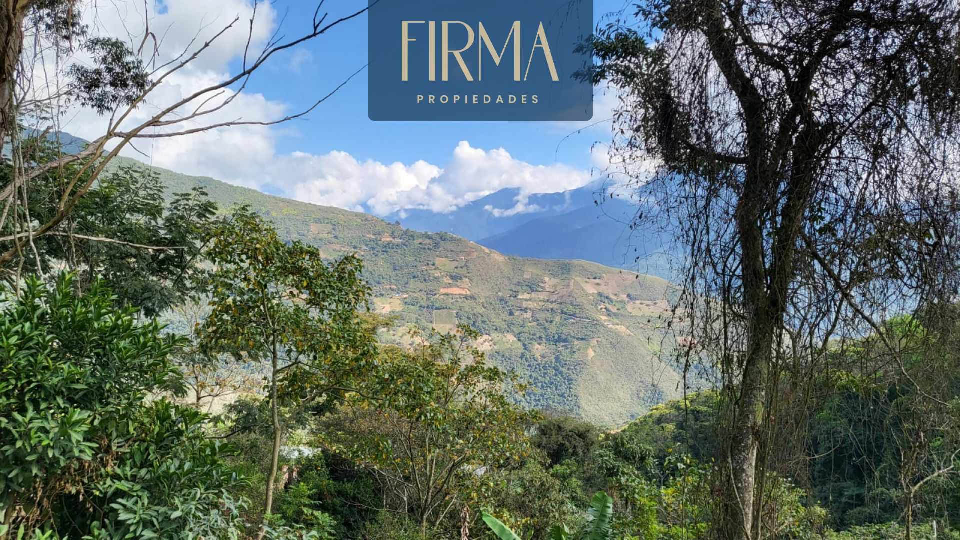 Terreno en Coroico en Coroico    Foto 17