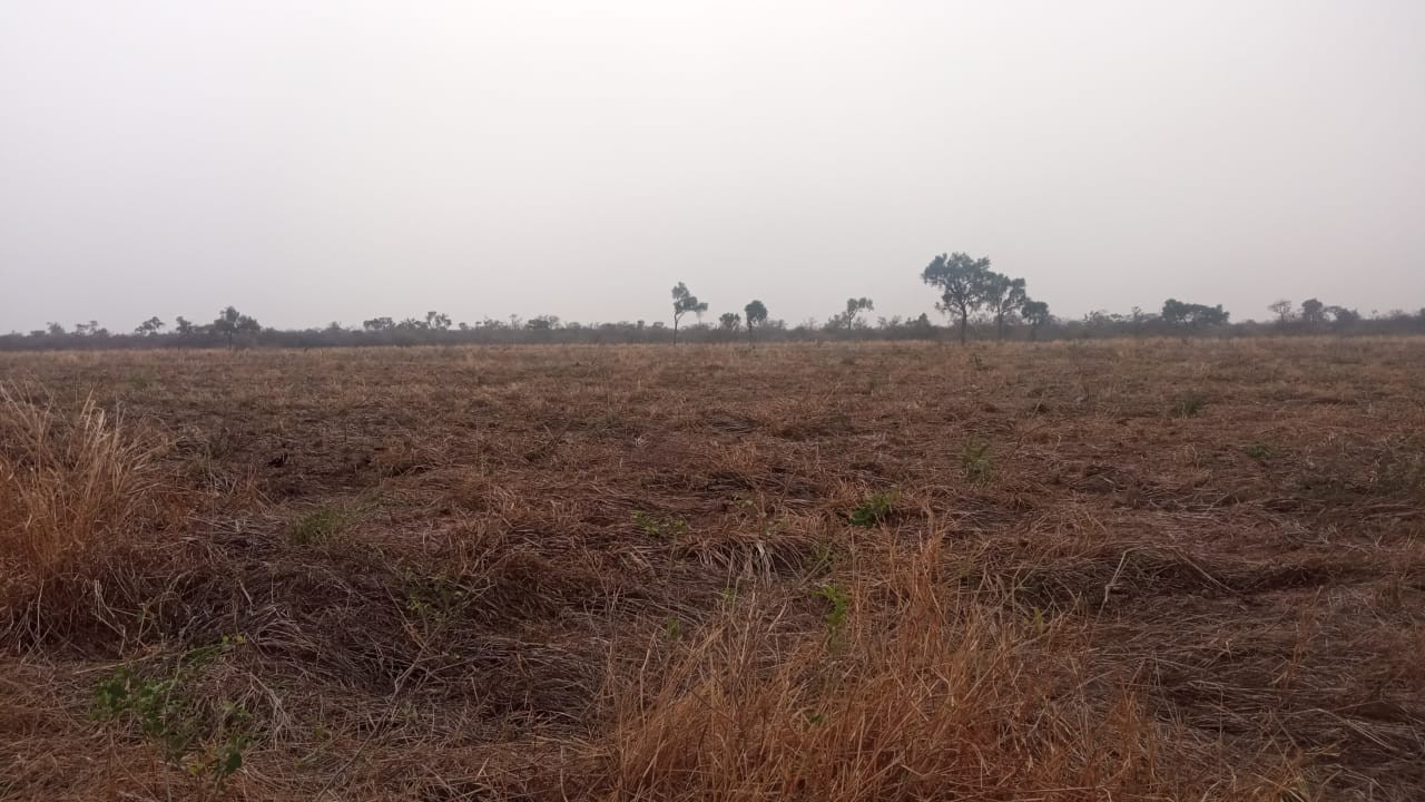 Quinta propiedad agrícola en VentaLinda propiedad  agricola  de 604ha por Pailon Sur, 70km entrando    Foto 15
