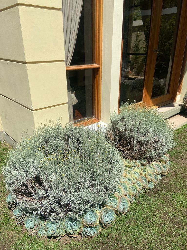 Casa en AlquilerACHUMANI CALLE 17 LINDA CASA EN ALQUILER  3 dormitorios 4 baños 1 parqueos Foto 12