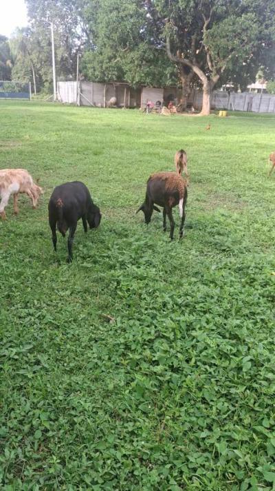 8eb57158f191c124b75c764f5e683012764542