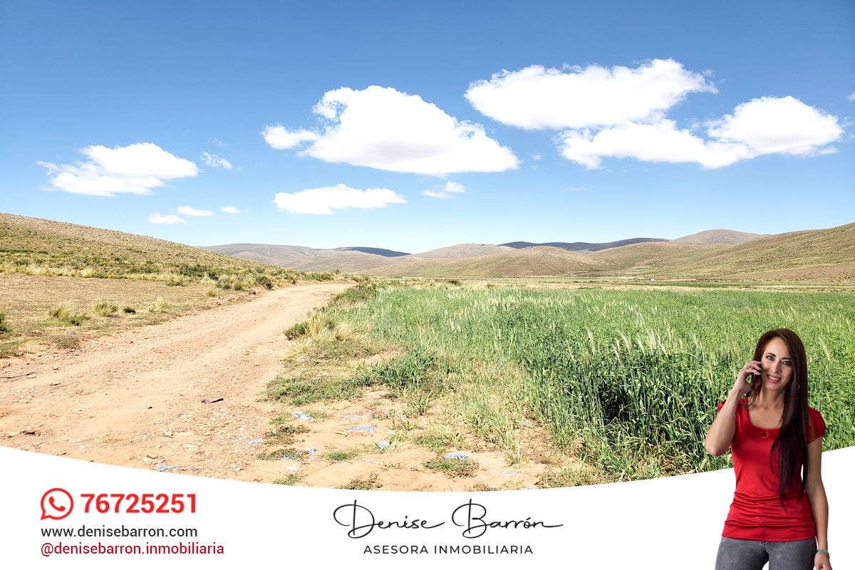 Terreno en VentaCARRETERA LA PAZ - ORURO, TERRENO EN VENTA EN VILA VILA    Foto 4