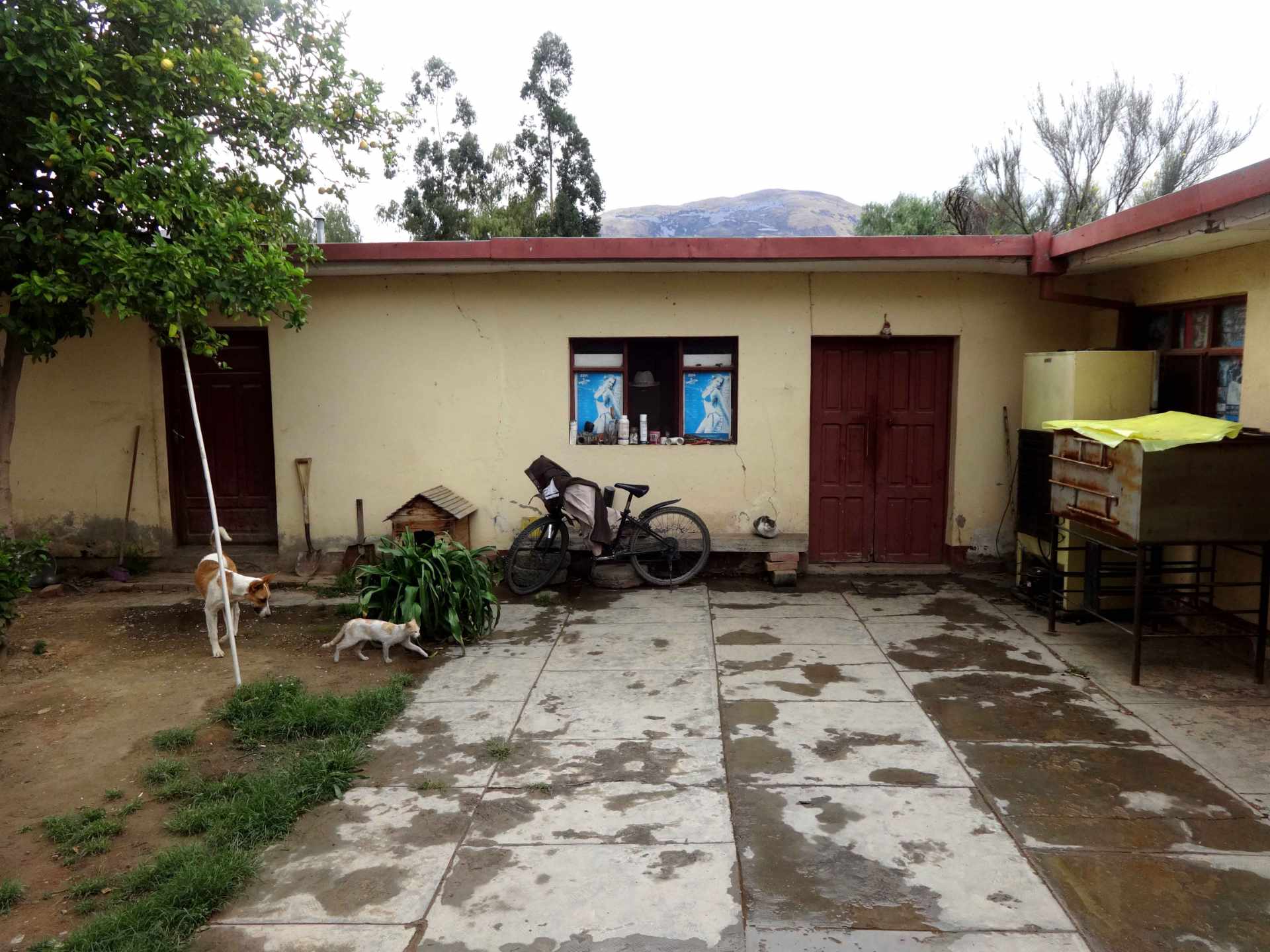 Terreno en Punata en Cochabamba    Foto 11