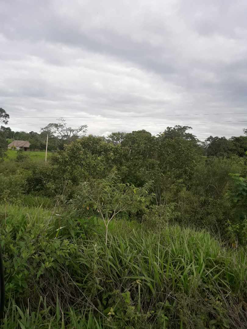 Terreno en VentaConcepción (280 km de Santa Cruz), lotes 13, 14, 15 y 16.           Foto 2