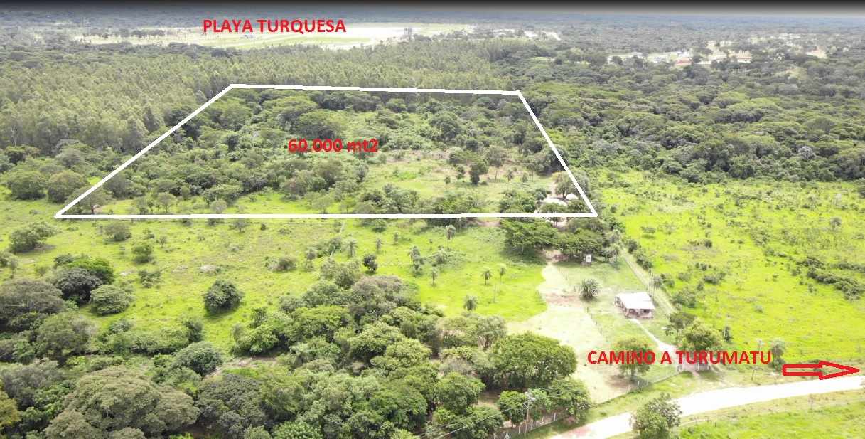 Terreno en VentaSanta Ana de Trejo, Urubo    Foto 8