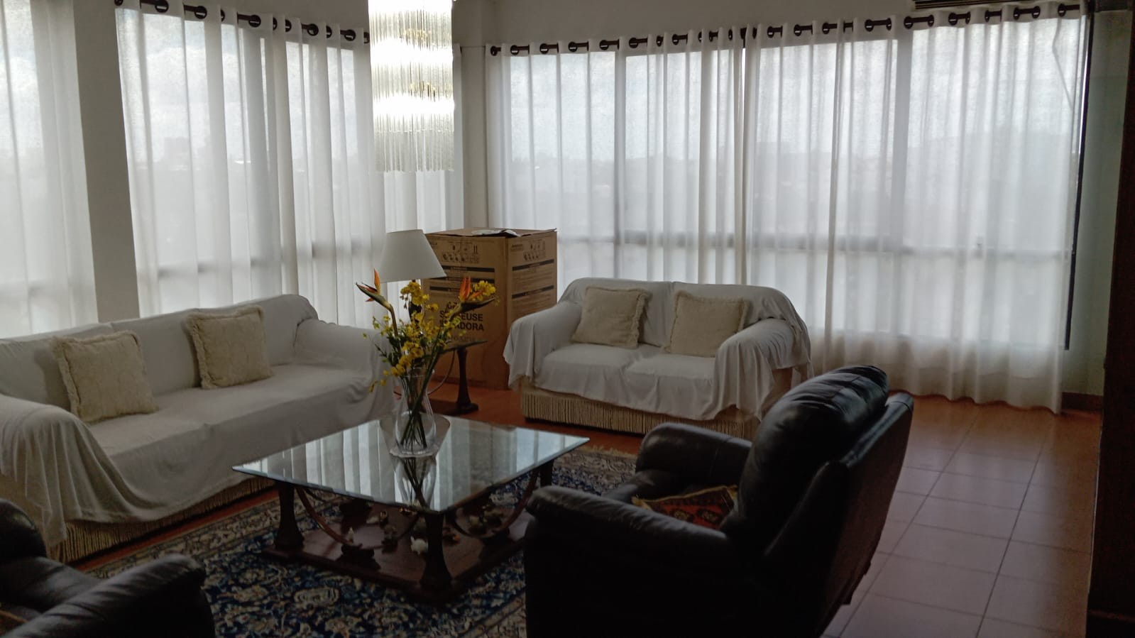 Departamento Zona Sur Avenida Irala zona de los Cafeces Foto 1