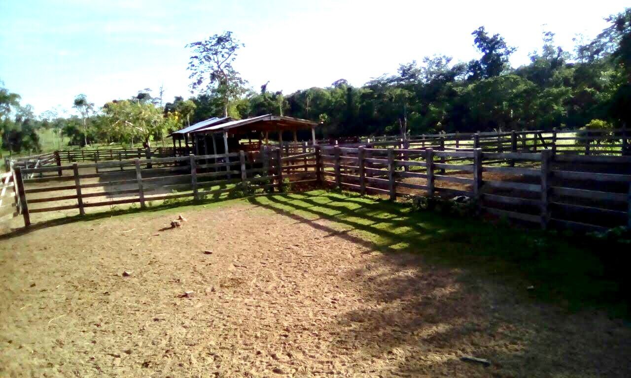 Quinta propiedad agrícola en VentaEn Venta: 500 Hectáreas Ganaderas en San Javier Foto 12