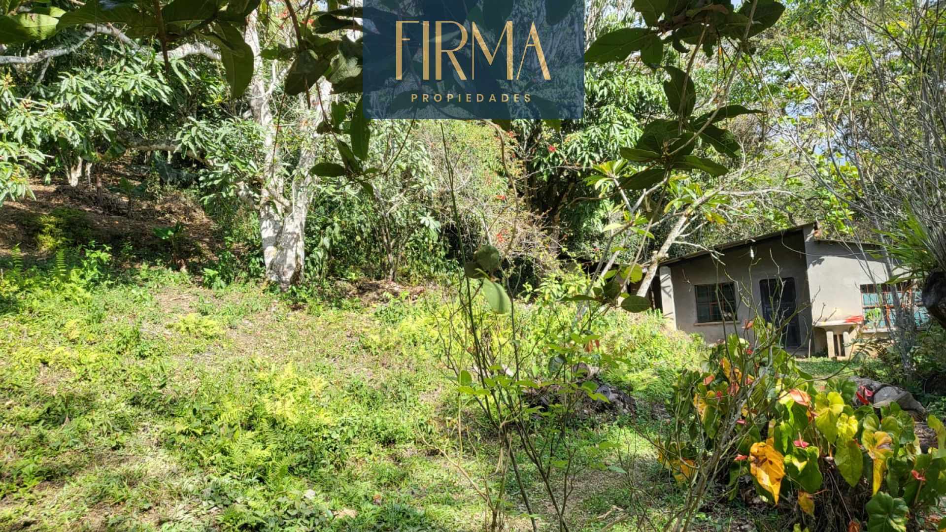 Terreno en Coroico en Coroico    Foto 7