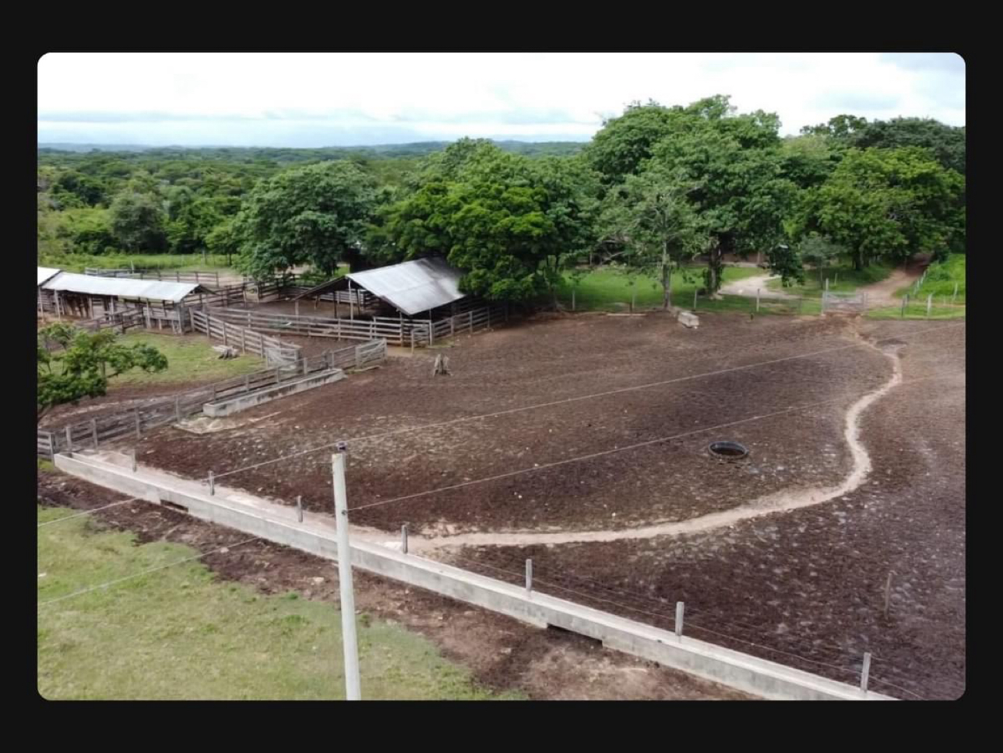 Quinta propiedad agrícola en VentaZona terebinto Foto 3