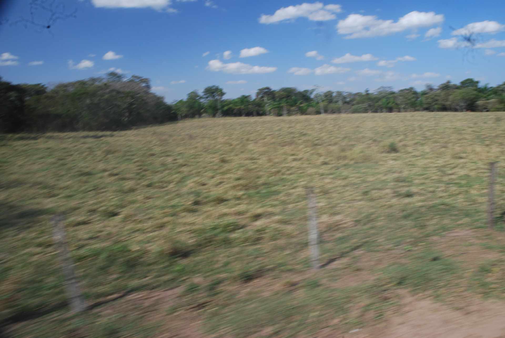 Quinta propiedad agrícola en Venta A 20mn de Warnes  vendo una Hermosa  Lecheria productiva  de 56ha  Foto 10