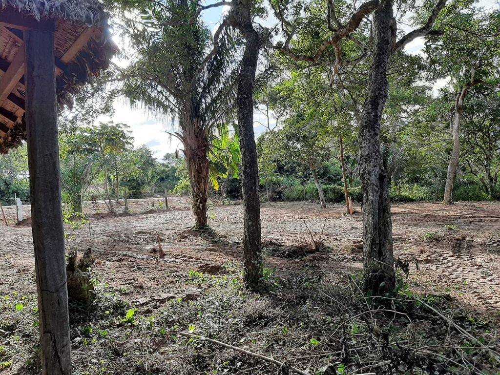 Terreno en VentaSobre Carretera Pavimentada al Cuchi
    Foto 4